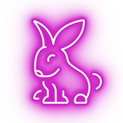 DeJure Bunny Anyadaga